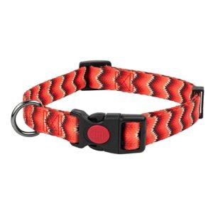 Coleira Fantasy Snake (40-55cm)